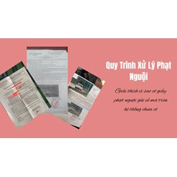 Hướng dẫn quy trình xử lý phạt nguội vi phạm giao thông