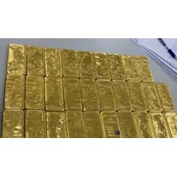 Buôn lậu vàng có bị tịch thu không?