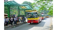 Phương tiện giao thông công cộng gồm những gì?