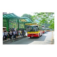 Phương tiện giao thông công cộng gồm những gì?