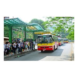 Phương tiện giao thông công cộng gồm những gì?