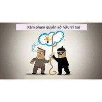 Xâm phạm quyền sở hữu trí tuệ có bị xử lý hình sự không?