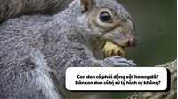 Con don có phải động vật hoang dã không? Bán con don có bị xử lý hình sự không?