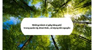 Những hành vi gây lãng phí trong quản lý, khai thác, sử dụng tài nguyên
