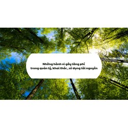 Những hành vi gây lãng phí trong quản lý, khai thác, sử dụng tài nguyên
