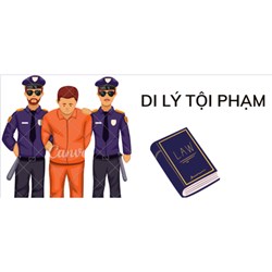 Di lý tội phạm là gì? Ai sẽ bị áp giải thi hành án hình sự?