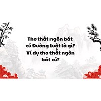 Thơ thất ngôn bát cú Đường luật là gì? Ví dụ thơ thất ngôn bát cú?