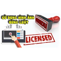 Sử dụng trái phép hình ảnh người nổi tiếng có bị truy cứu trách nhiệm hình sự?