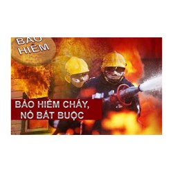 Nguyên tắc về bồi thường bảo hiểm cháy nổ bắt buộc