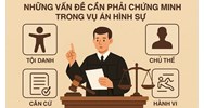 Những vấn đề cần phải chứng minh trong vụ án hình sự