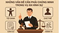 Những vấn đề cần phải chứng minh trong vụ án hình sự