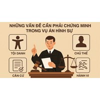 Những vấn đề cần phải chứng minh trong vụ án hình sự