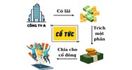 Trả cổ tức bằng cổ phiếu bao lâu được bán?