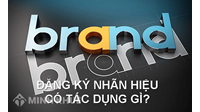 Quy trình đăng ký bảo hộ độc quyền nhãn hiệu tại Luật Minh Khuê