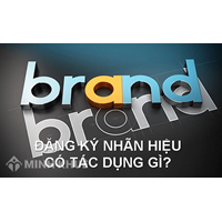 Quy trình đăng ký bảo hộ độc quyền nhãn hiệu tại Luật Minh Khuê