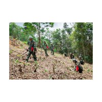 Hướng dẫn thực hiện công tác rà phá bom mìn, vật nổ sau chiến tranh