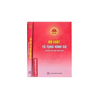 Giải thích thuật ngữ pháp lý trong Điều 4 Bộ luật tố tụng hình sự mới nhất