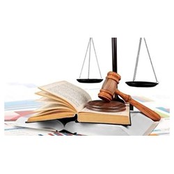 Điều 6 Bộ luật tố tụng hình sự quy định về "Phát hiện và khắc phục nguyên nhân, điều kiện phạm tội"