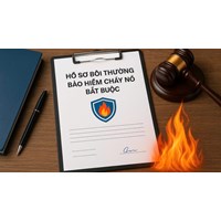 Hồ sơ bồi thường bảo hiểm cháy nổ bắt buộc mới nhất