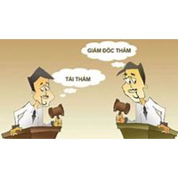 Tạm đình chỉ thi hành bản án, quyết định hình sự bị kháng nghị giám đốc thẩm