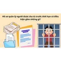 Hồ sơ quản lý người được tha tù trước thời hạn có điều kiện gồm những gì?