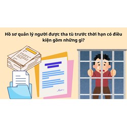 Hồ sơ quản lý người được tha tù trước thời hạn có điều kiện gồm những gì?