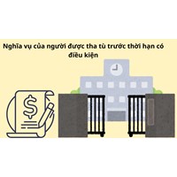 Nghĩa vụ của người được tha tù trước thời hạn có điều kiện