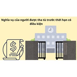 Nghĩa vụ của người được tha tù trước thời hạn có điều kiện