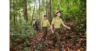 Nhiệm vụ, quyền hạn Điều tra của cơ quan Kiểm lâm trong tố tụng hình sự