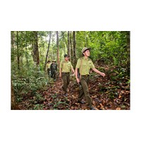 Nhiệm vụ, quyền hạn Điều tra của cơ quan Kiểm lâm trong tố tụng hình sự