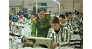 Chế độ học nghề của phạm nhân quy định như thế nào?