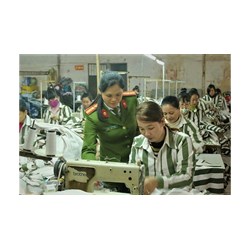 Chế độ học nghề của phạm nhân quy định như thế nào?