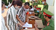 Trình tự thi hành án tử hình quy định như thế nào?