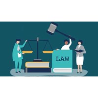 Quyền, nghĩa vụ của pháp nhân thương mại chấp hành án quy định thế nào?