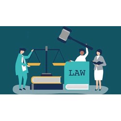 Quyền, nghĩa vụ của pháp nhân thương mại chấp hành án quy định thế nào?