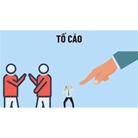 Quyền và nghĩa vụ của người tố cáo, người bị tố cáo trong thi hành án hình sự