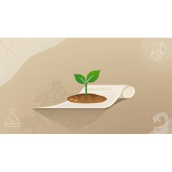 Quyền đối với giống cây trồng là gì?