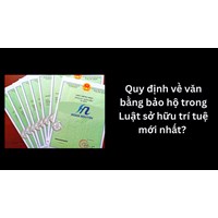 Quy định về văn bằng bảo hộ trong Luật sở hữu trí tuệ mới nhất