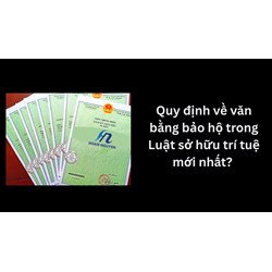 Quy định về văn bằng bảo hộ trong Luật sở hữu trí tuệ mới nhất