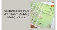 Các trường hợp chấm dứt hiệu lực văn bằng bảo hộ mới nhất