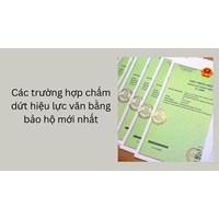 Các trường hợp chấm dứt hiệu lực văn bằng bảo hộ mới nhất