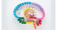 Quyền sở hữu công nghiệp bị hạn chế bởi những yếu tố nào?