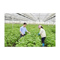 Bên chuyển giao và bên nhận chuyên giao trong hợp đồng chuyển giao quyền sử dụng giống cây trồng có quyền gì?