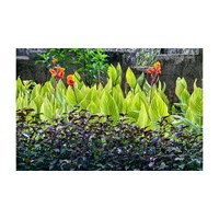 Đơn đăng ký bảo hộ giống cây trồng bao gồm các tài liệu gì?