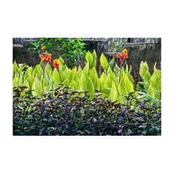 Đơn đăng ký bảo hộ giống cây trồng bao gồm các tài liệu gì?