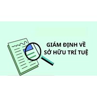 Điều kiện kinh doanh dịch vụ giám định về sở hữu trí tuệ