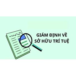Điều kiện kinh doanh dịch vụ giám định về sở hữu trí tuệ