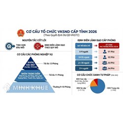 Cơ cấu tổ chức của Viện kiểm sát nhân dân cấp tỉnh theo Quyết định 06/QĐ-VKSTC