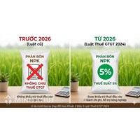 04 mức thuế suất thuế giá trị gia tăng áp dụng năm 2026 thế nào?