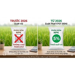04 mức thuế suất thuế giá trị gia tăng áp dụng năm 2026 thế nào?